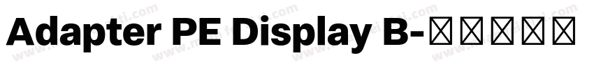 Adapter PE Display B字体转换